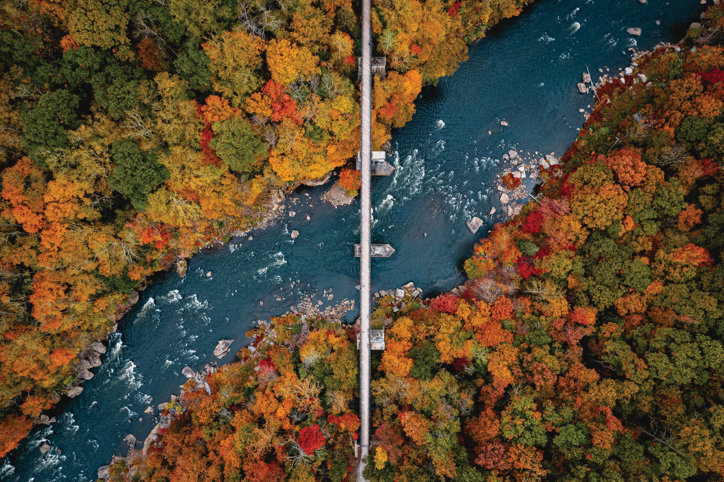 The Fall Line