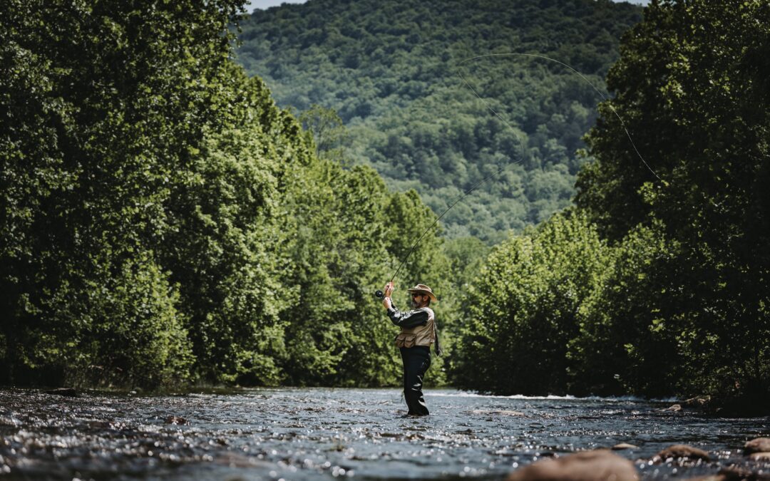 Taking on Trout