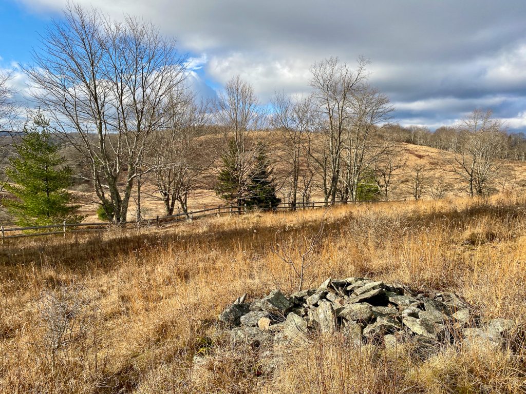 West Virginia's Civil War Sites - Camp Allegheny cabin remains