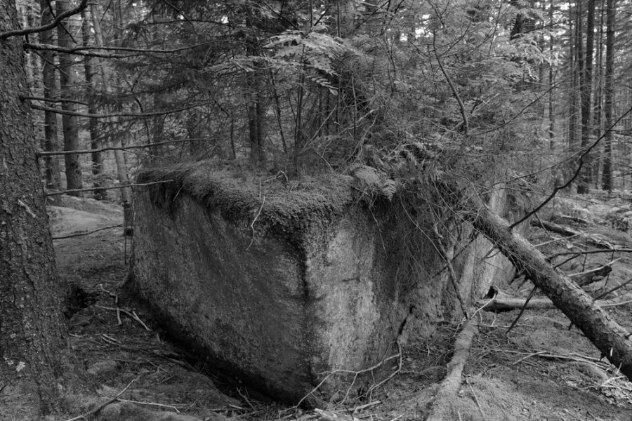 The Remnants