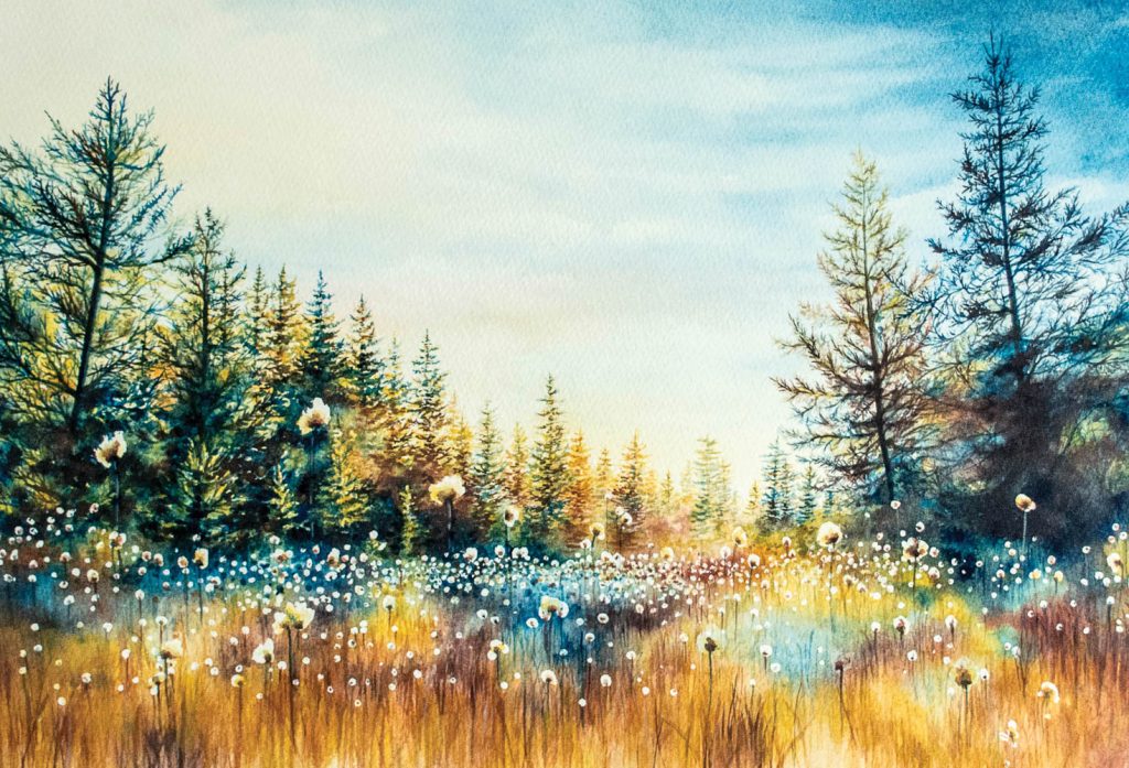 WV Art - Dolly Sods Bog in Autumn