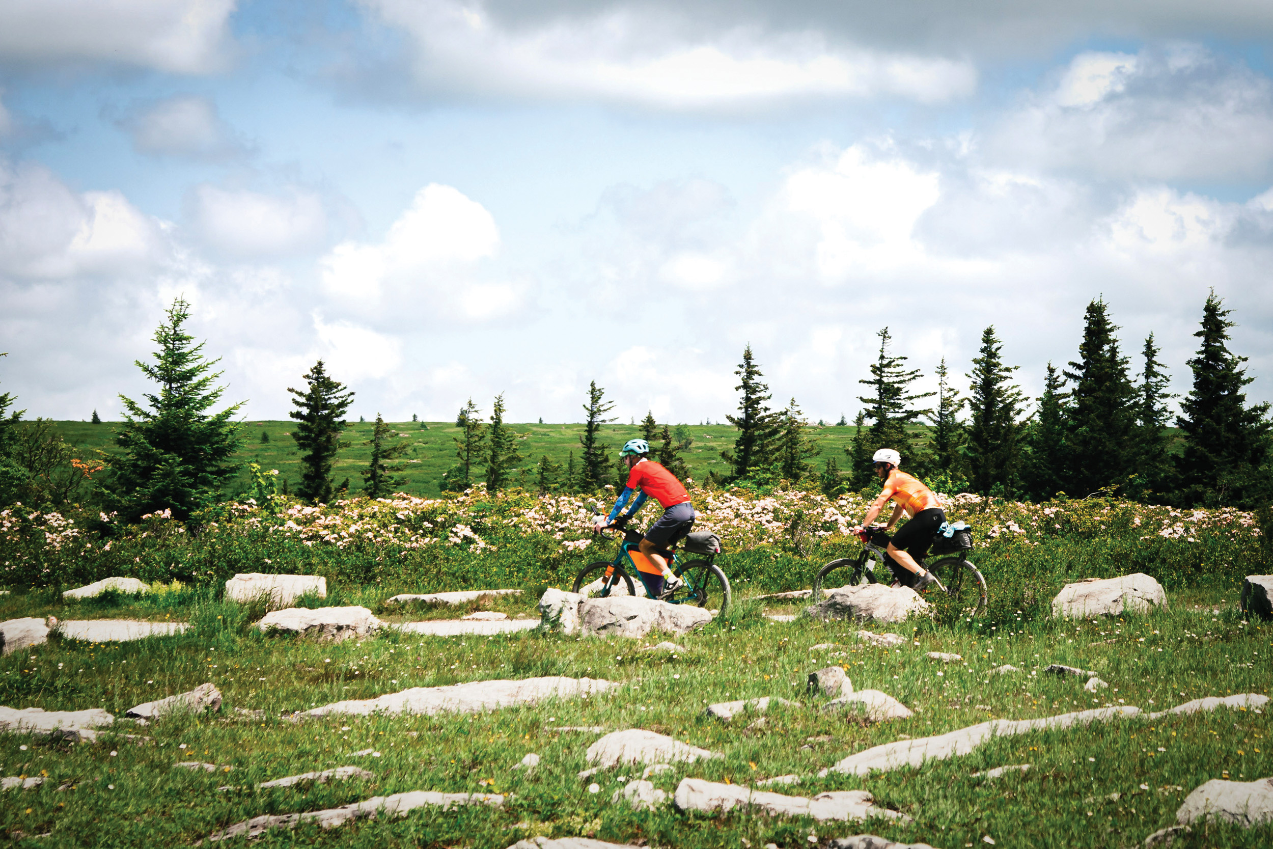 Two-Wheeled Tours